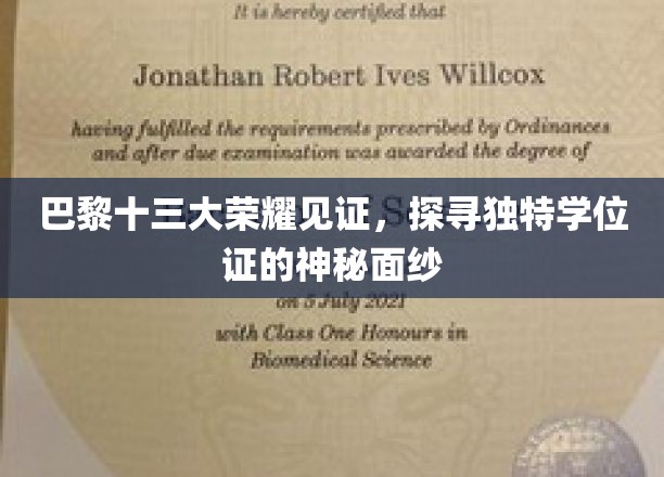 巴黎十三大璀璨印记，一探非凡学位证的神秘魅力